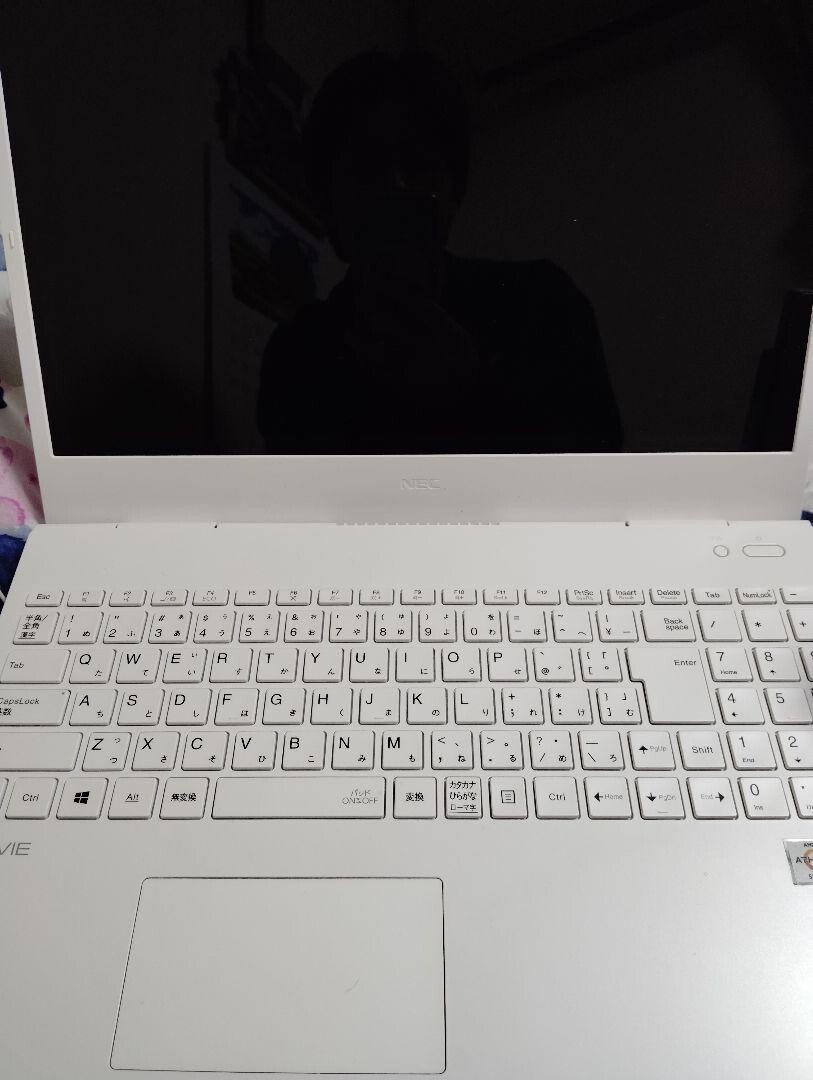 LAVIE PC-N1515AA series AMD Athlon™ Silver 3050U Processor Notebook PC n134