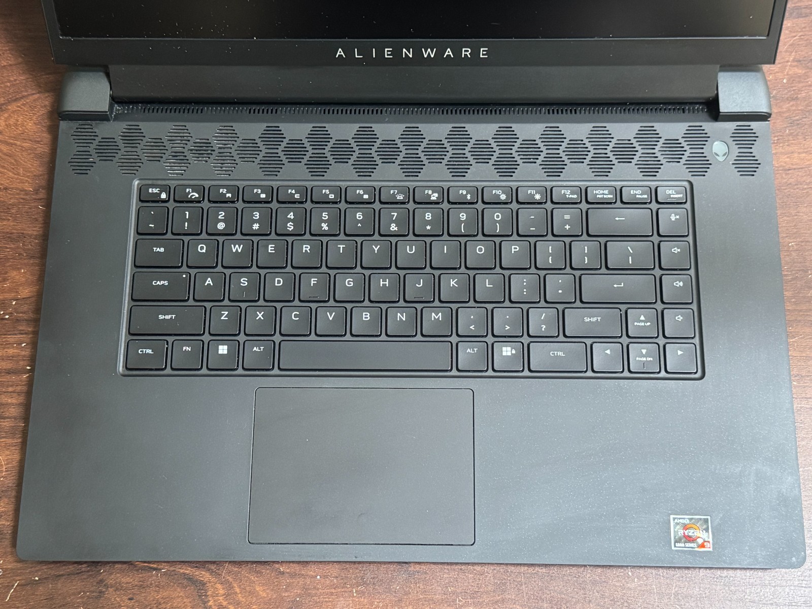 Alienware M17 R5 480Hz AMD Ryzen 9 6900HX 16GB 1TB/SSD RTX 3080 Gaming Laptop