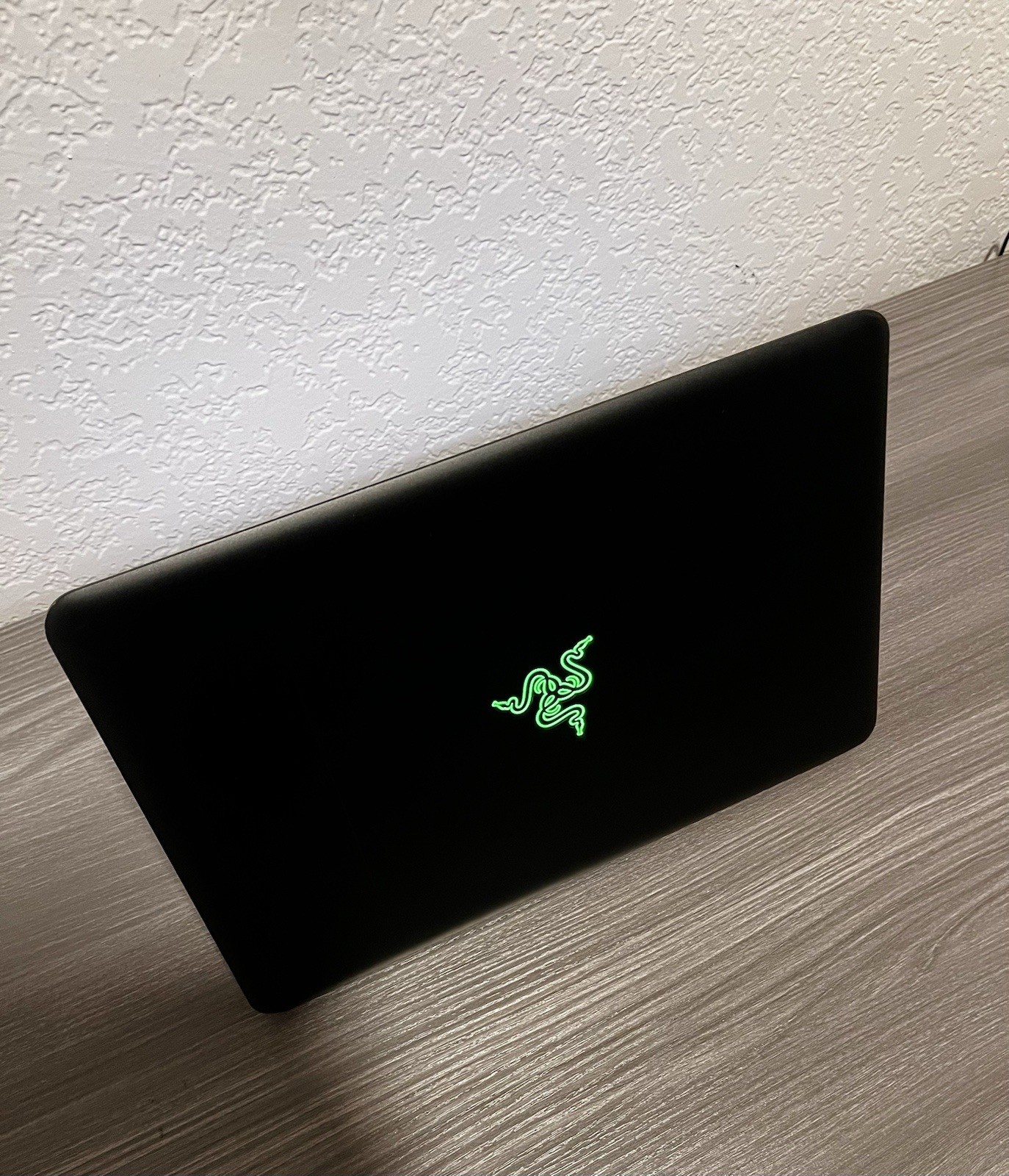 Razer Blade Stealth 14 i7-7700HQ 16GB RAM GEFORCE GTX 1060 6gb (READ)