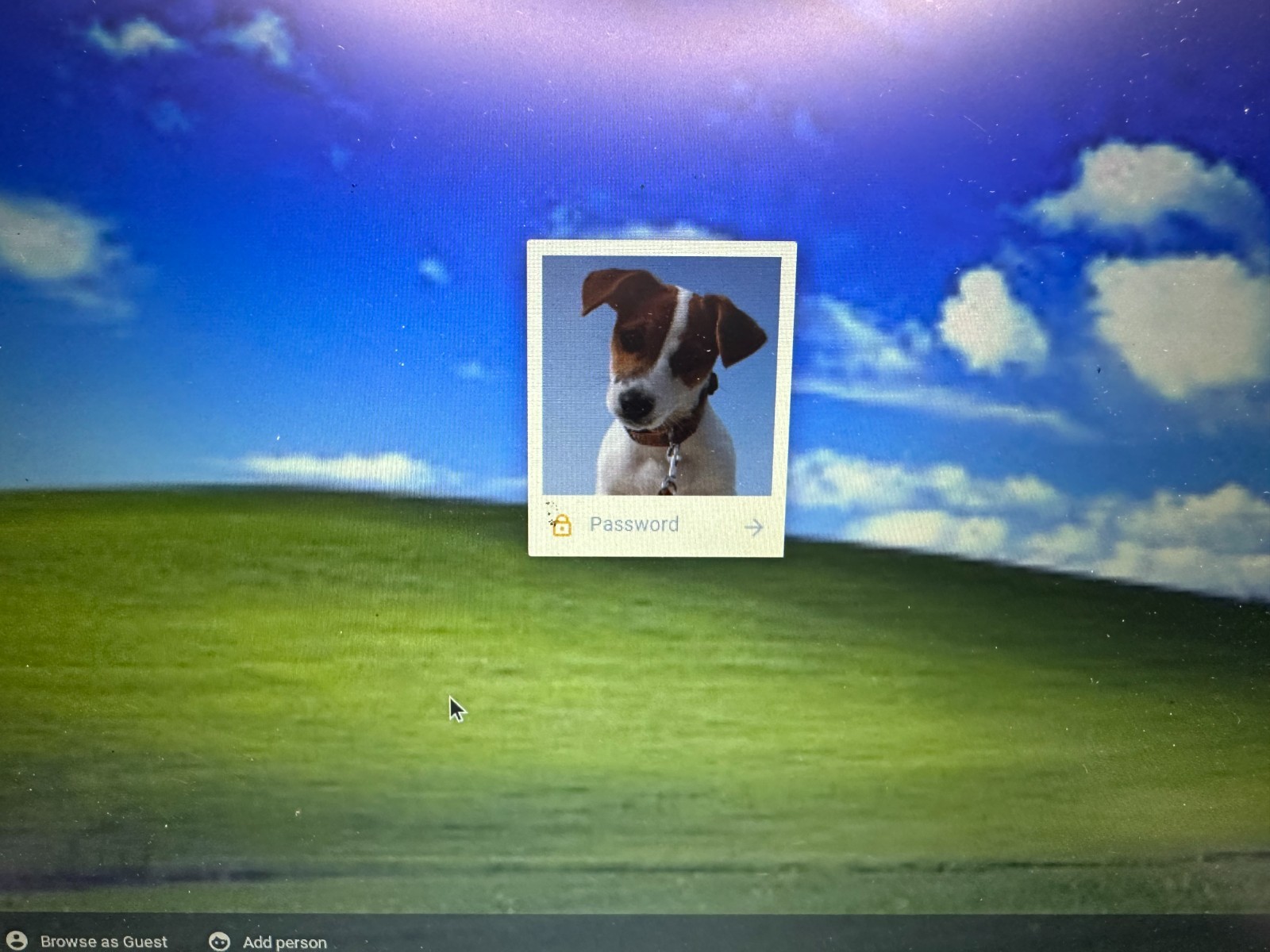RARE GOOGLE CR-48 MARIO PONY 6101 PILOT PROGRAM TEST CHROMEBOOK, STRICTLY AS IS