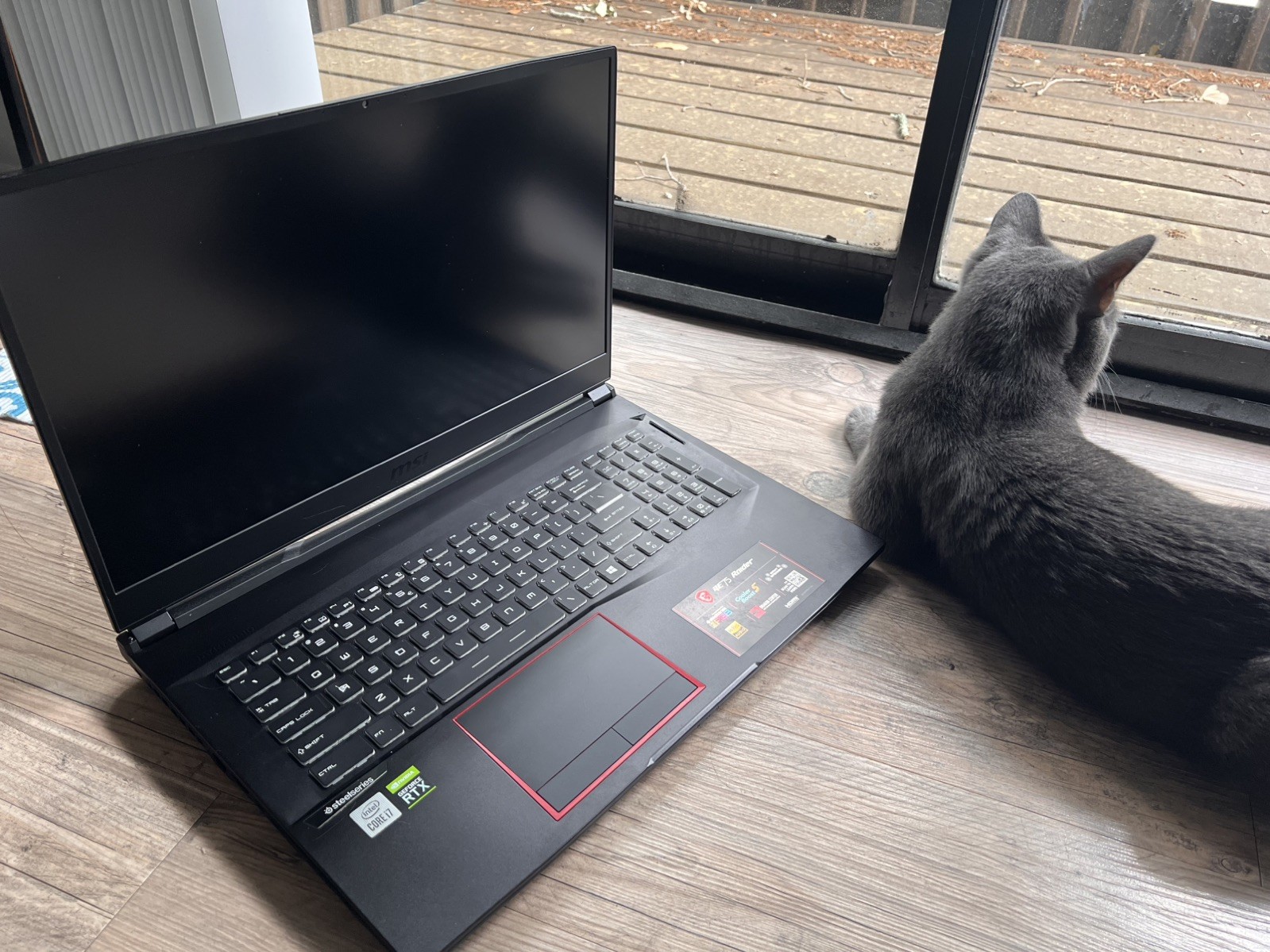 MSI GE75 Raider 17.3 inch (1TB + 512GB, Intel Core i7 10th Gen., 2.60GHz, 16GB)