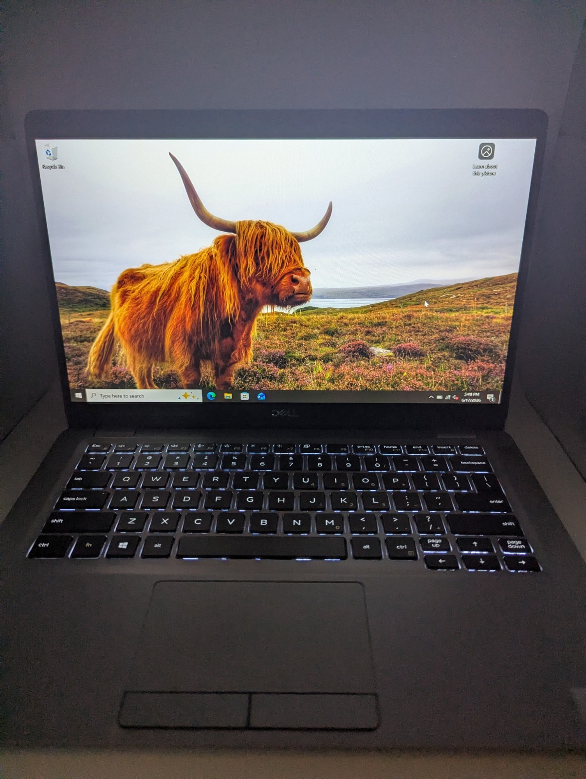 Dell Latitude 5310 i7-10610U 16GB RAM 256GB SSD Windows 10 Enterprise