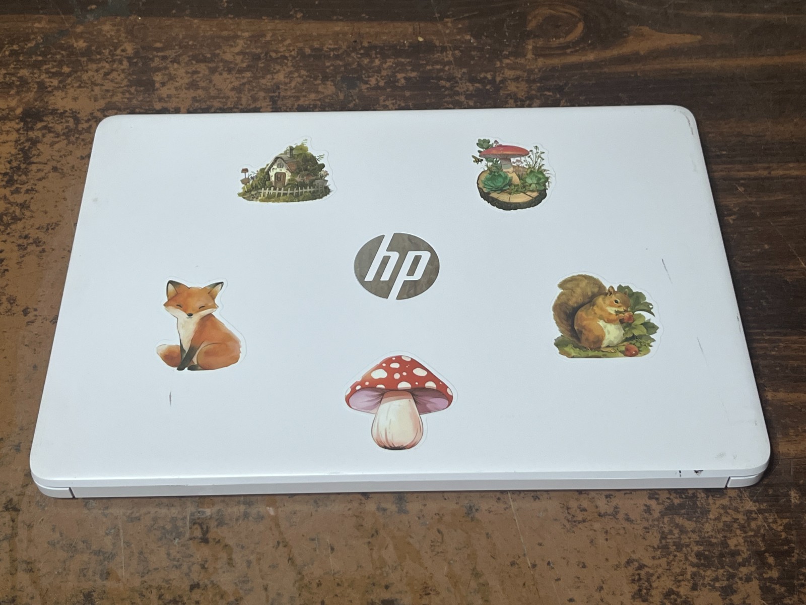 HP Laptop 14-dq3000dx 14″ 64 GB SSD 4 GB RAM Celeron N4500 Windows 11 Laptop