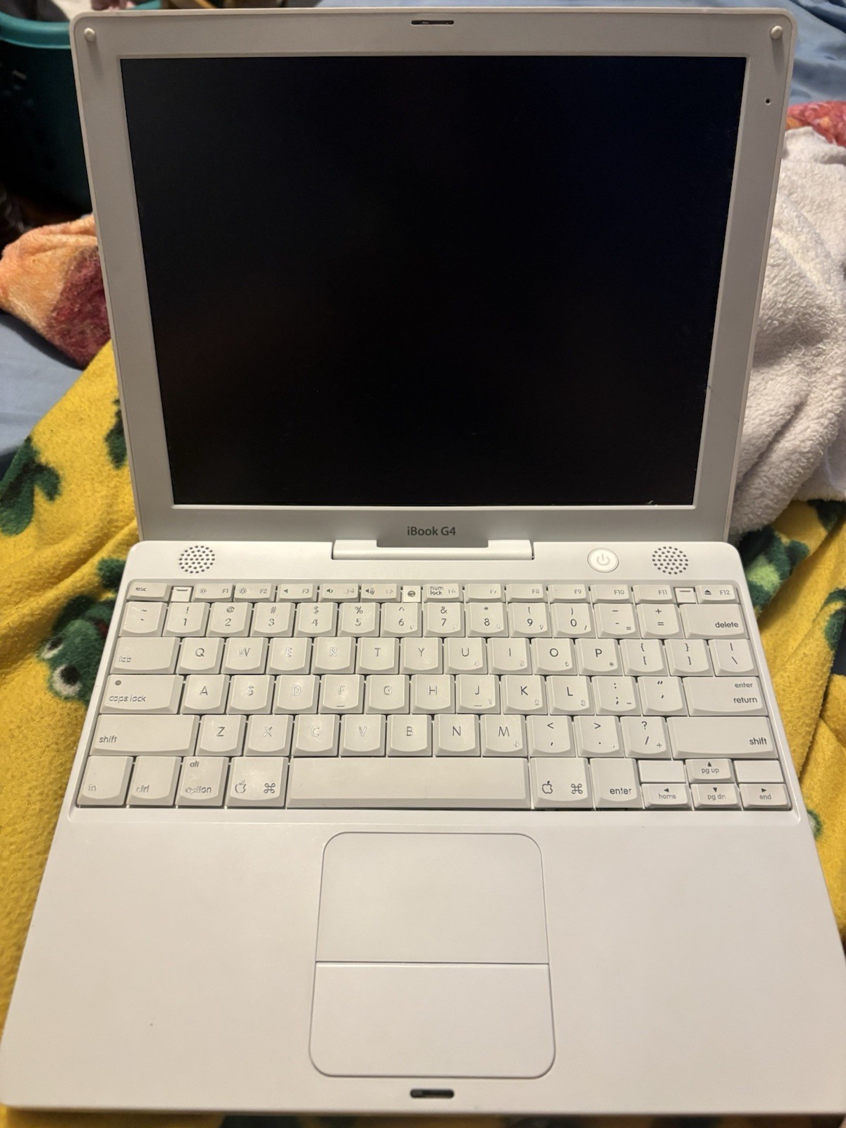 Apple iBook G4 14″ A1055 1.07 GHz PowerPC 1.25GB RAM 40GB HDD OS X 10.5.1 Retro