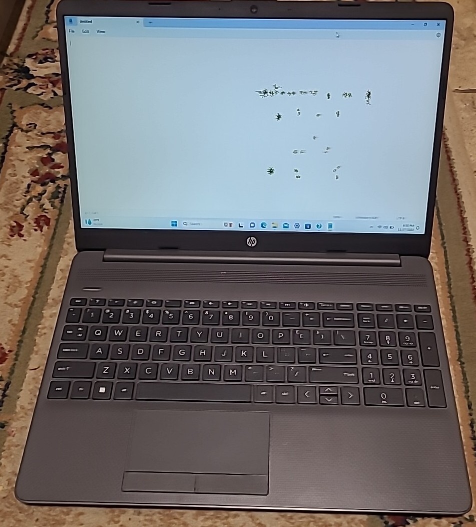 HP 255 G8 Laptop 15.6″ 8GB Ram 256GB SSD AMD 3020e W11H Screen Defect