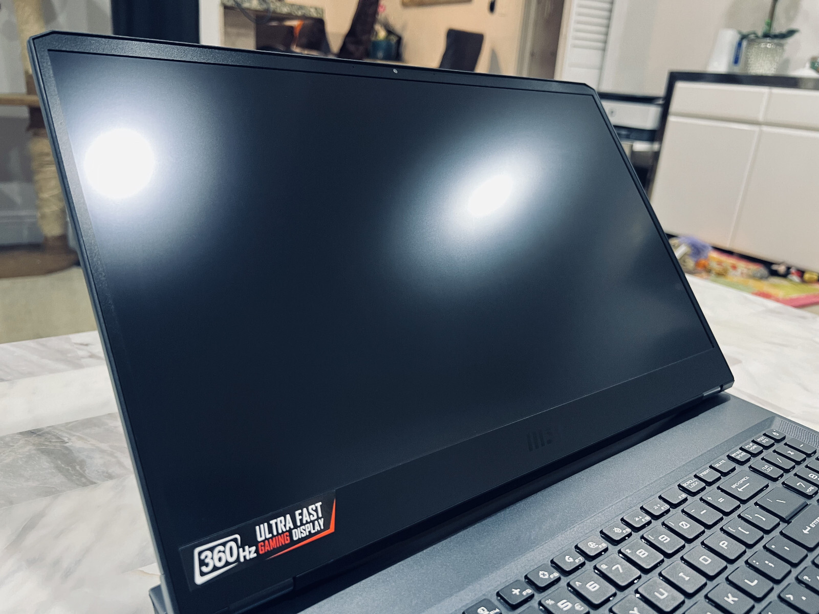 MSI GE76 Raider 17.3″ (1TB SSD, Intel Core i9 11th Gen., 5.00 GHz, 32GB) Gaming