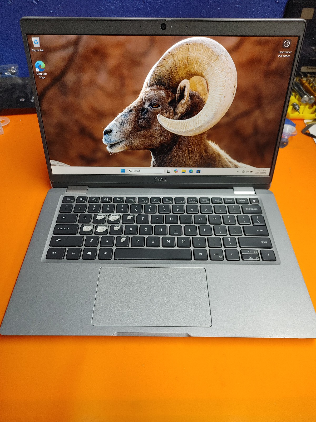 Dell Latitude 5320 13.3″ FHD Laptop i3-1125G4 2.0GHz 8GB