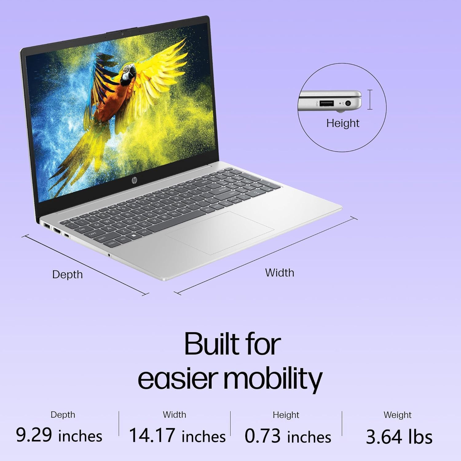 Essential Laptop Computer for Student Home Study, Office 365, Intel N100 (2026 E