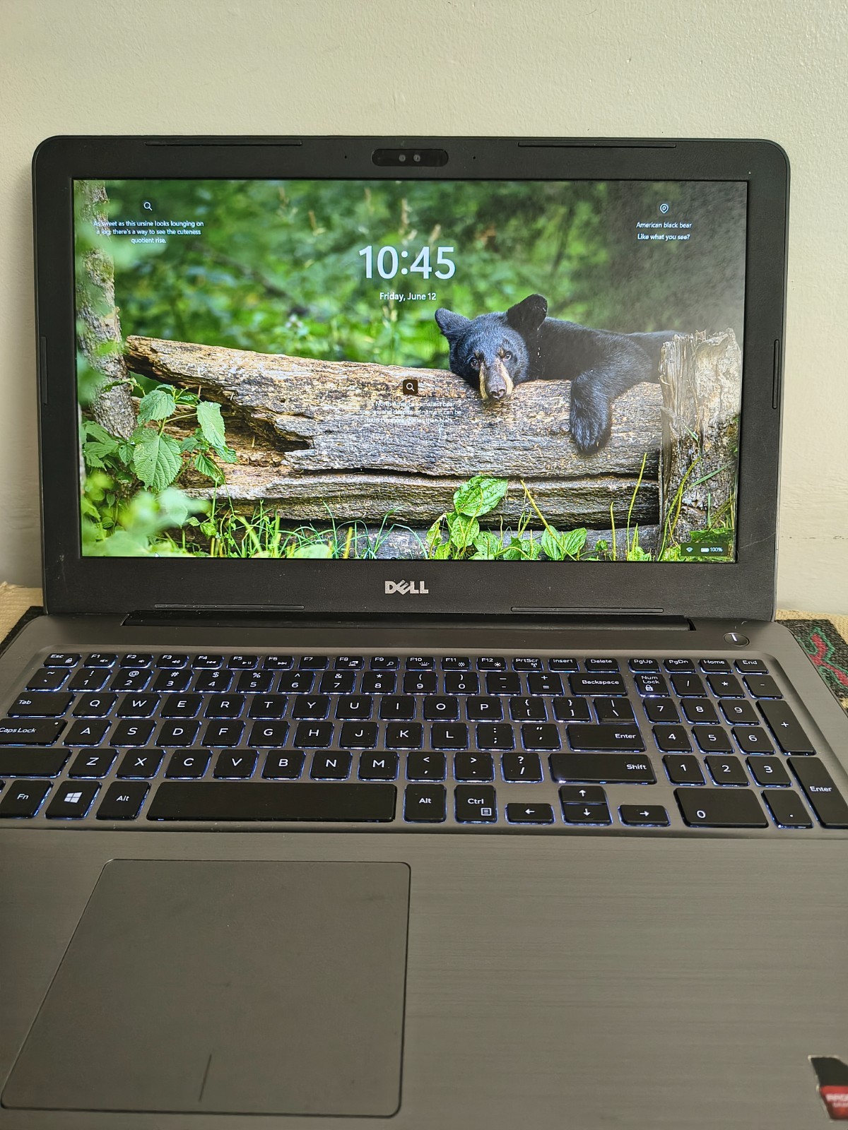 Dell Inspiron 15-5565 AMD A12-9700P Radeon R7 GPU 12GB 192GB SSD Win11Home