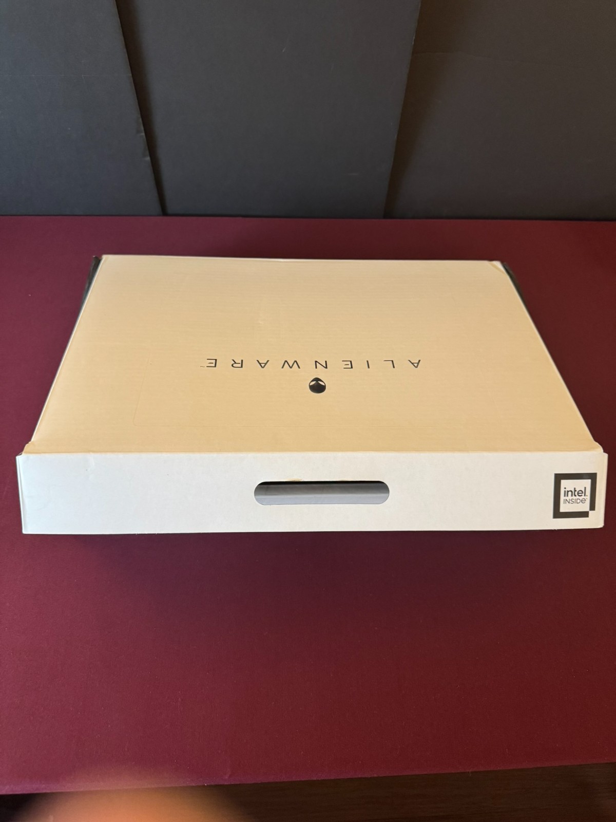 Alienware M15 R7 NVIDIA GeForce 3080 8GB GPU 16G Shared 64GB RAM Intel i9 12900H