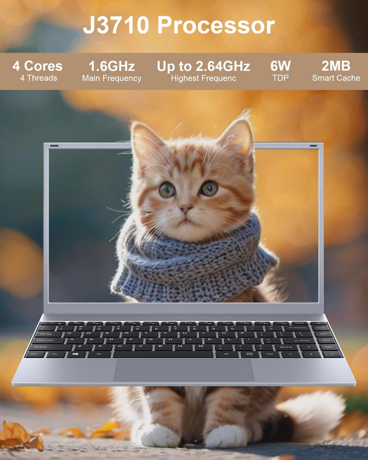 14 Inch Laptop Portable Laptop Computer for Student & Business, 8GB RAM, 256G…