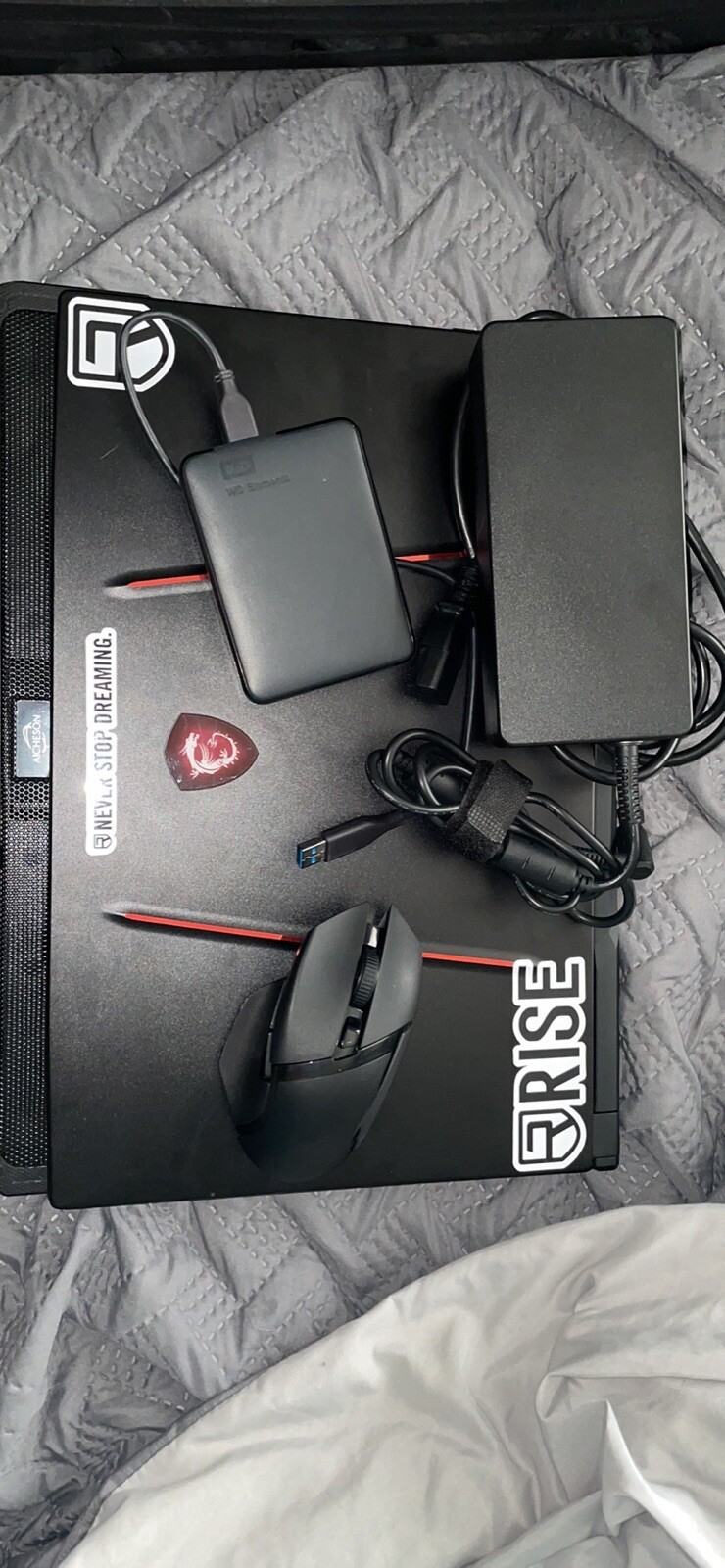 MSI GE75 Raider 17.3in, 10SFS-225, i9 10980HK, 32GB RAM, 1 TB NVMe SSD, RTX 2070