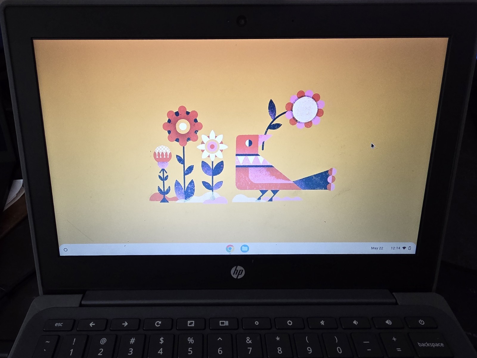 HP Chromebook 11A G8 EE 11.6″ Laptop Computer Google