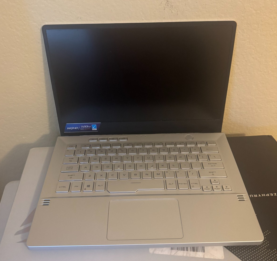 Asus ROG Zephyrus G14 GA401 144Hz FHD 3.3 GHz Ryzen 9 5900HS 16GB 1TB RTX 3060