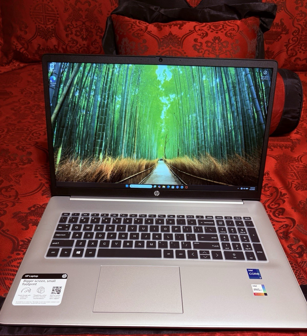 HP 17.3″ HD Laptop i7-1355U 16GB 1TB SSD Iris Xe Win11 Silver