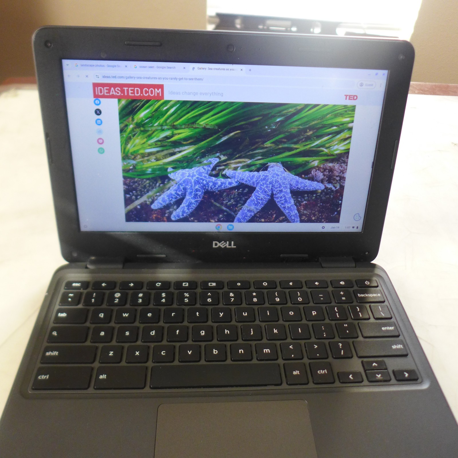 Dell Chromebook 3100 2 IN 1 11.6″, Intel Celeron,4GB, 6GB, ChromeOS TOUCH SCREEN