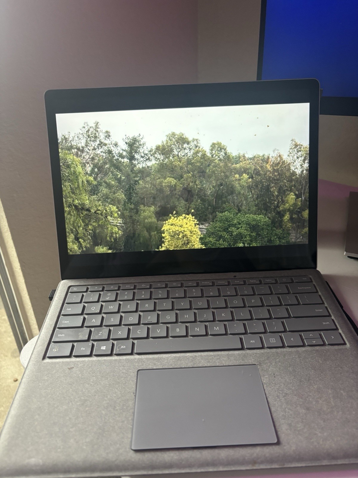 Microsoft Surface Laptop Platinum 13.5 in Windows Wi-Fi Bluetooth Webcam