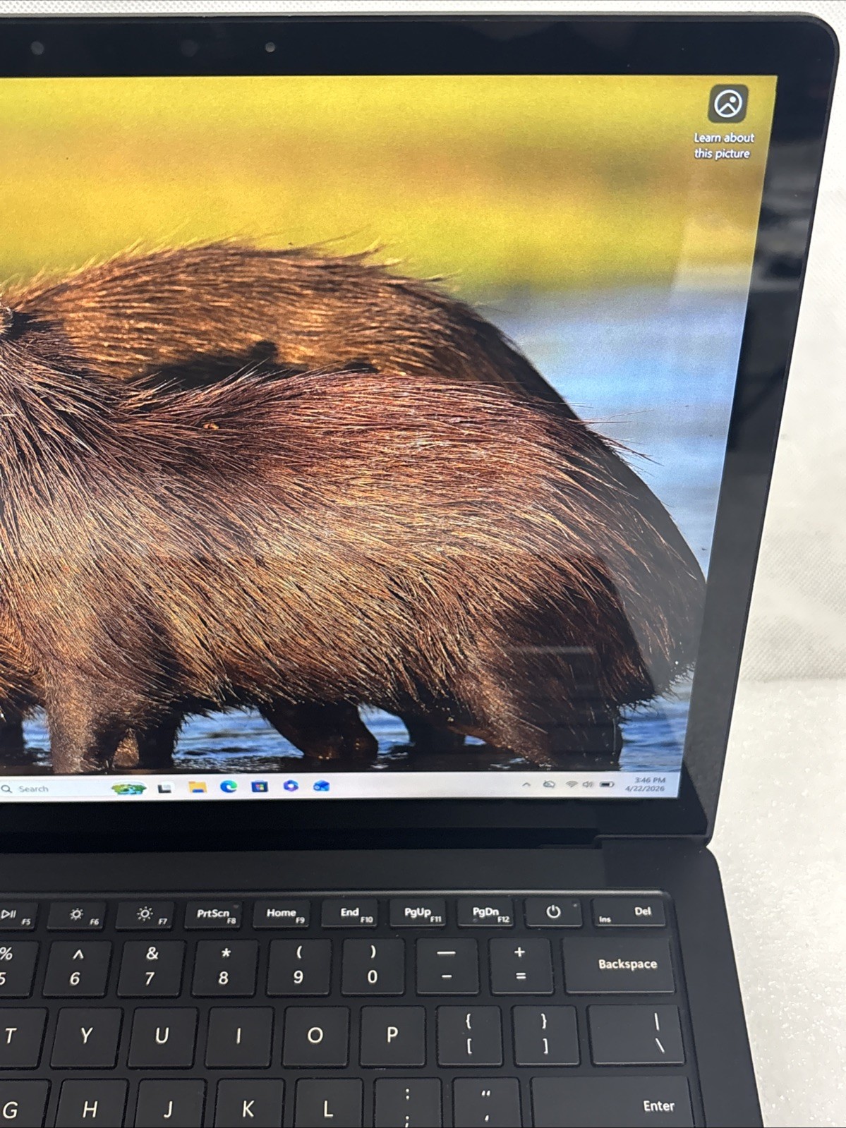 Microsoft Surface Laptop 5 13.5” (512GB, Intel i7 12th, 16GB RAM) Black *Read*