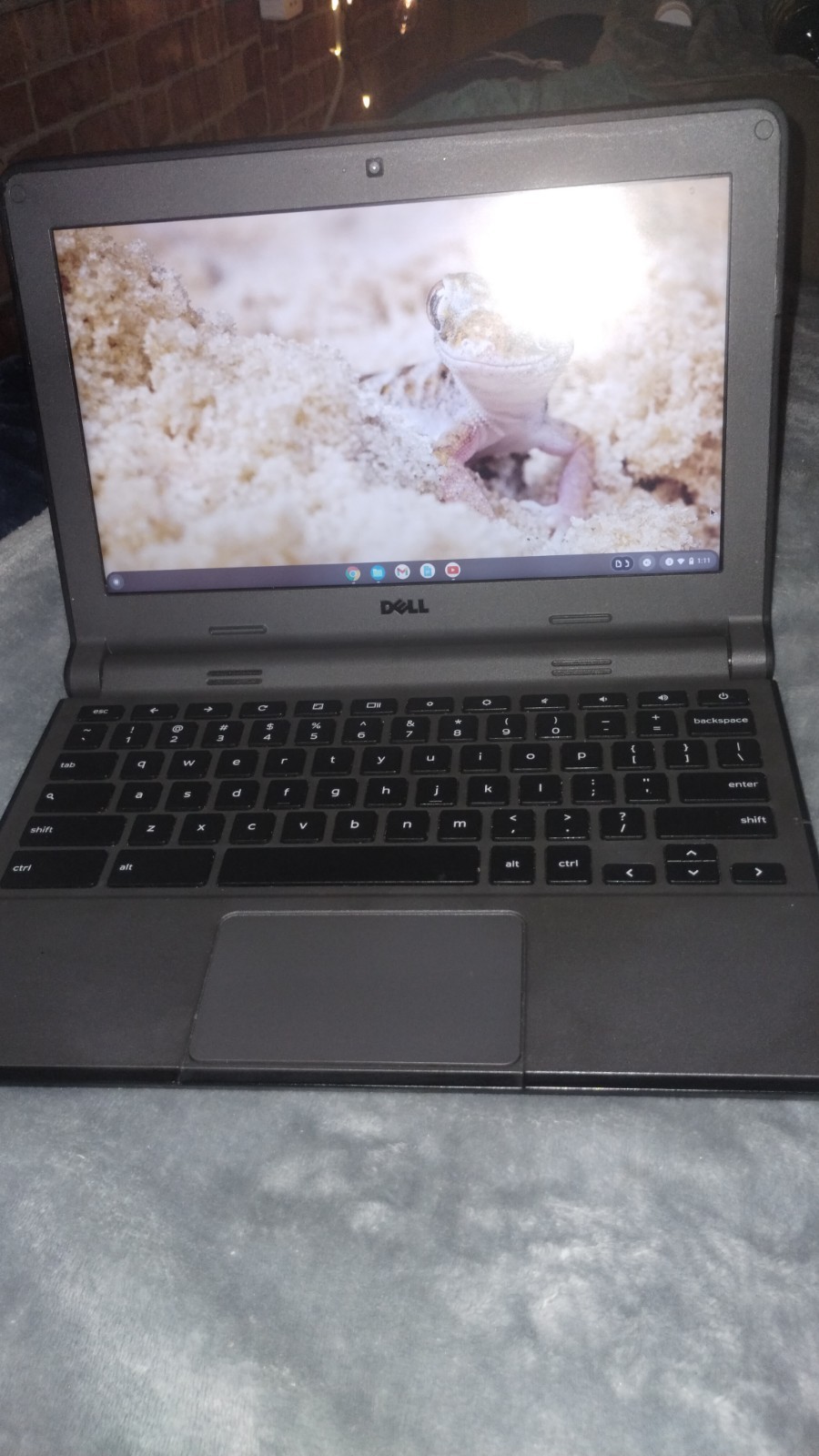 Dell Chromebook 11 (model 3120 or the 3120 2-in-1 variant), released in 2015.
