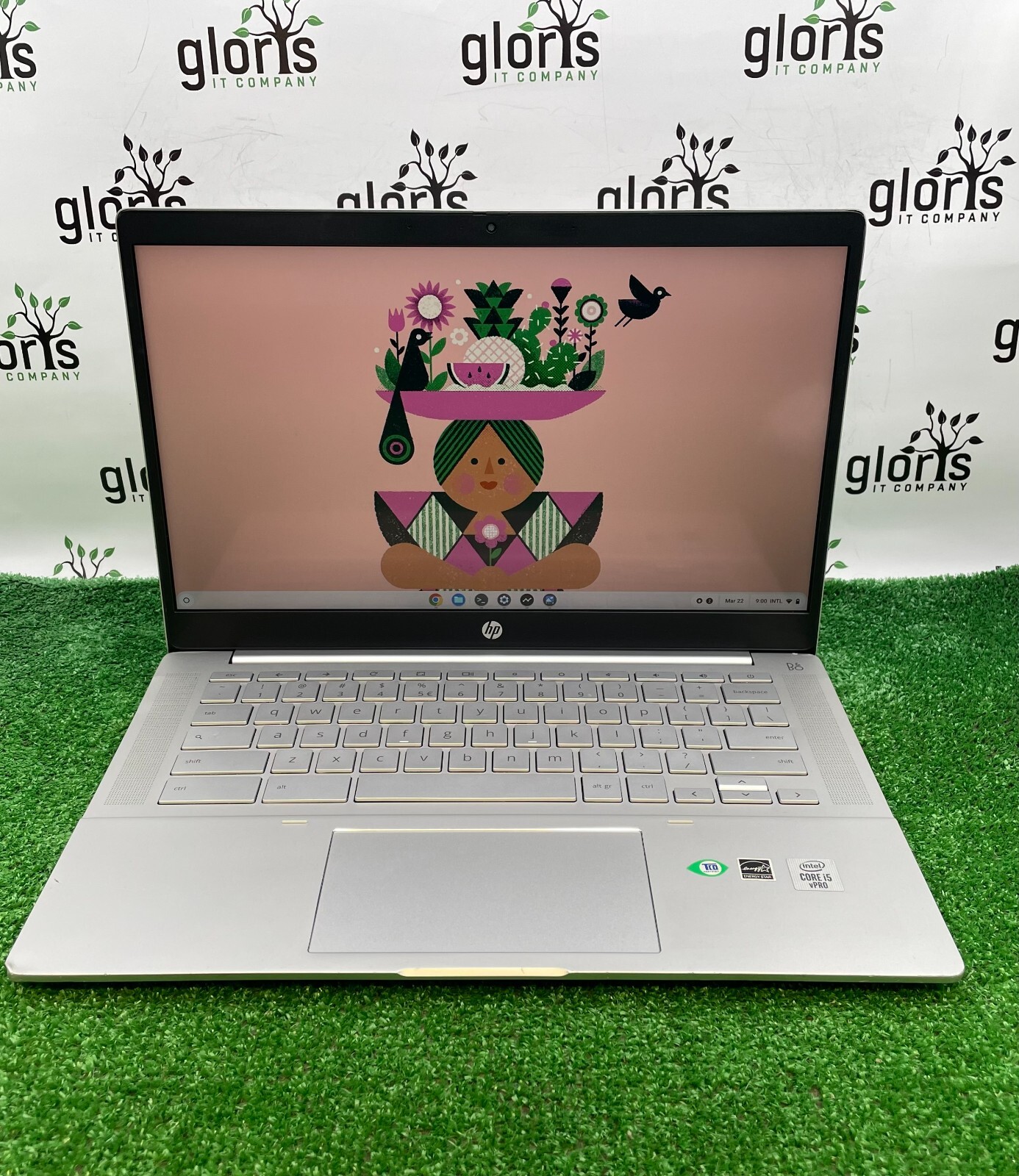 HP Pro c640 Chromebook Laptop Intel i5-10310U 1.70GHz / 8GB RAM / 64GB SSD