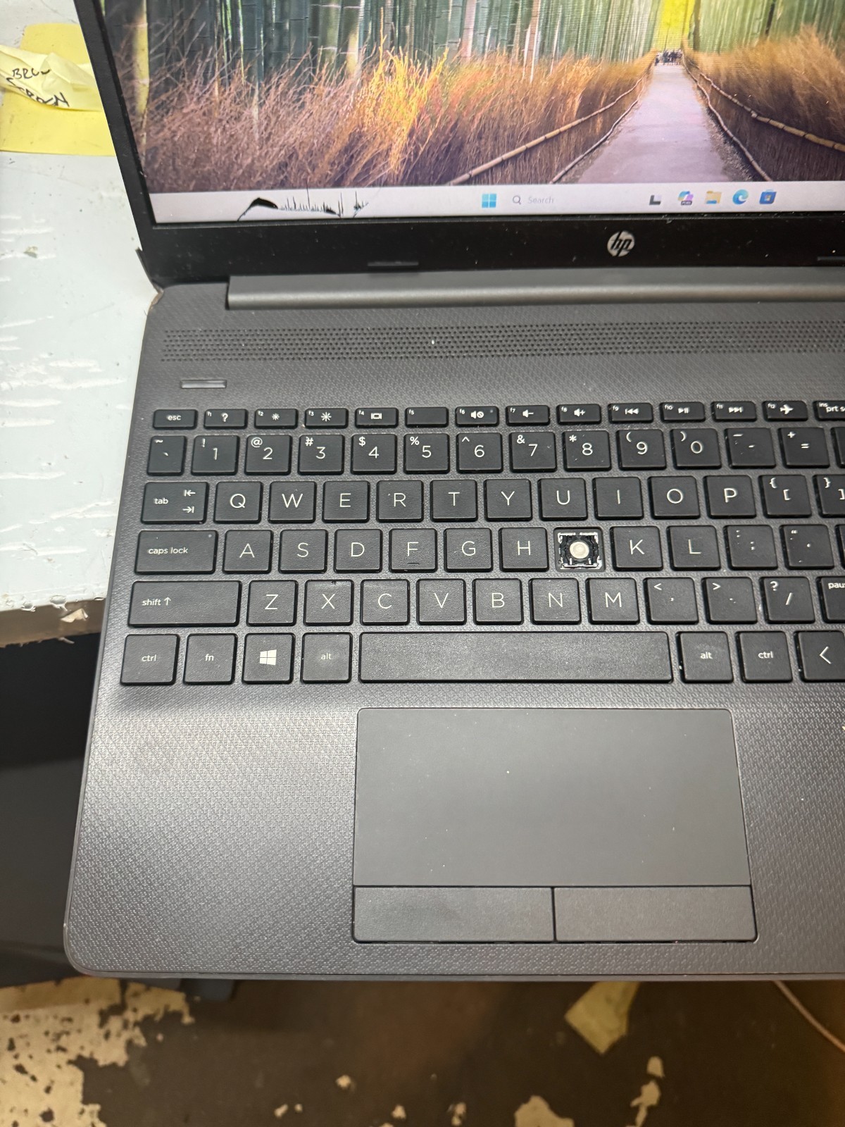 HP 255 G8 AMD Ryzen 3 3250 256GB SSD 8GB RAM Laptop For Repair #5636