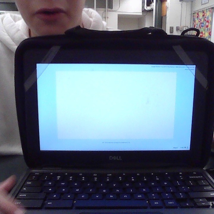 chromebook laptop for sale (totally not school chromebook)