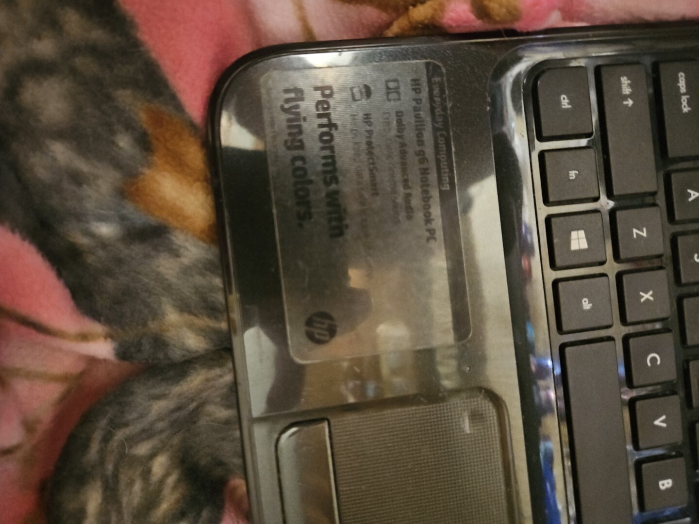 hp laptop pavilion G6 No Charger