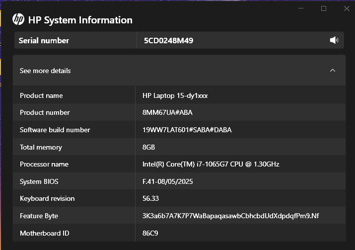 HP 15-dy1071wm i7-1065G7 8GB 256GB SSD Win11 Laptop READ – No Charger