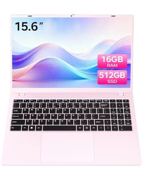Pink Laptop, 16GB RAM 512GB SSD Laptops with Pentium Gold 6500Y (Up to