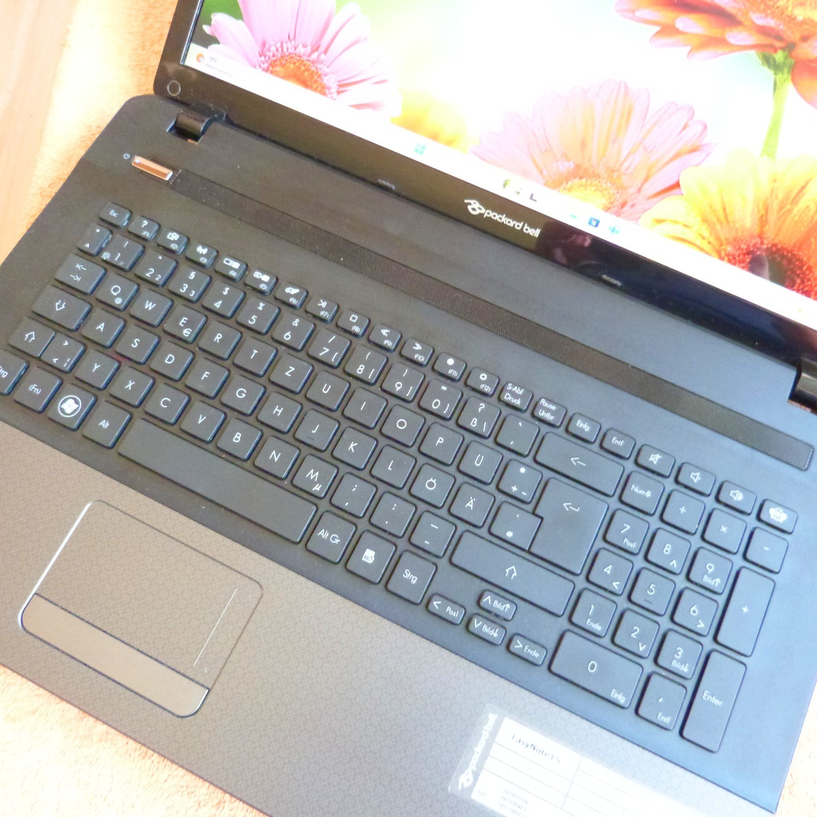 PB LS11 Multimedia 17 inch HDPLUS I 1TB SSD Windows 11 l 8GB RAM Core i7 DVDRW