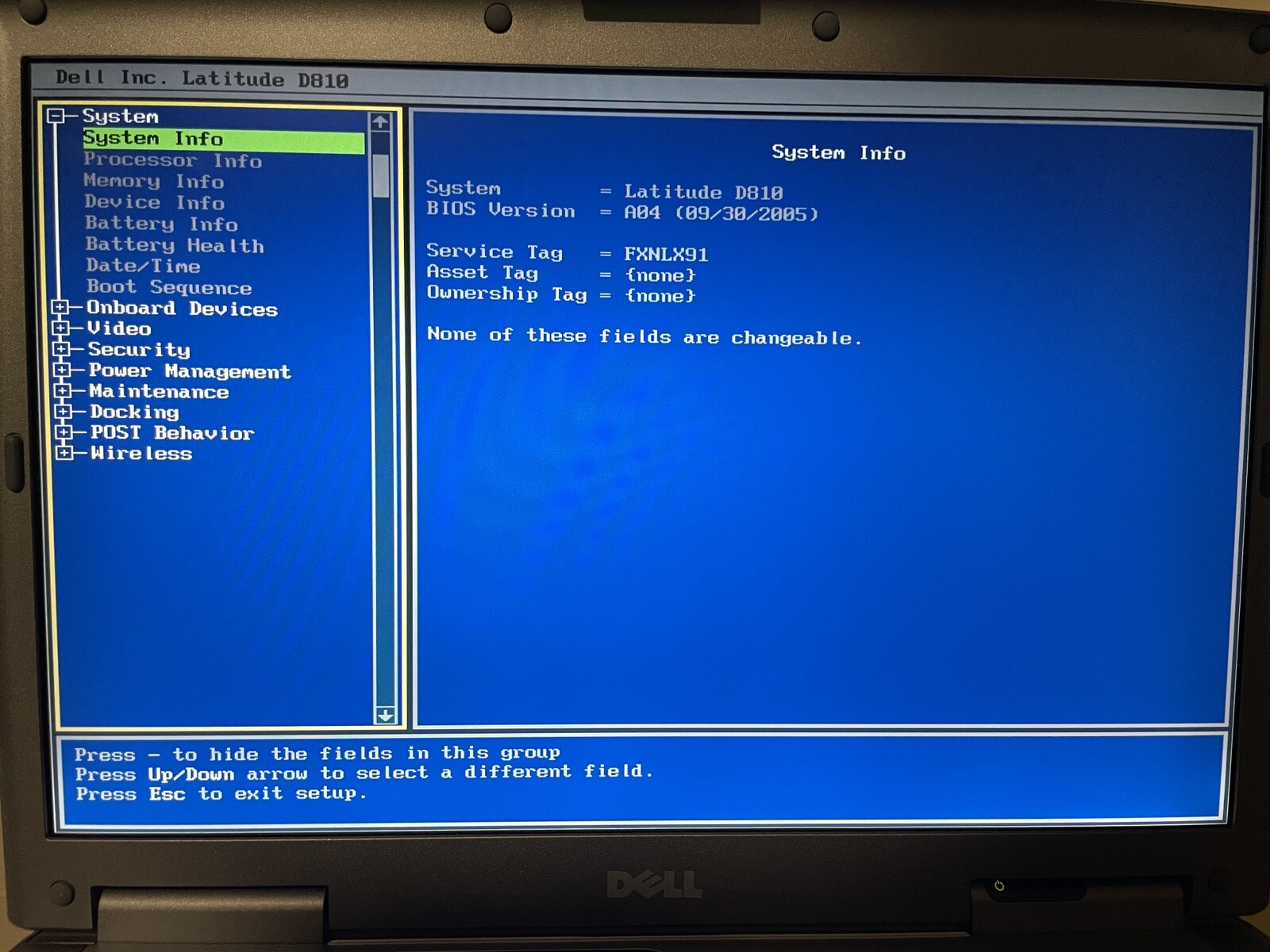 Dell Latitude D810 Retro Windows Laptop