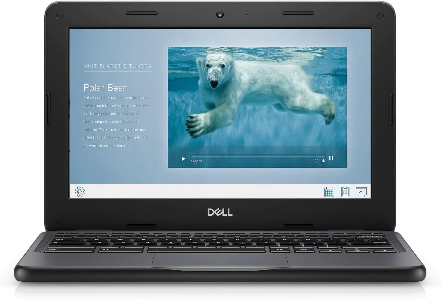 Dell 3100 Chromebook | Refurbished | Tested & Ready to Use | Fast Shipping