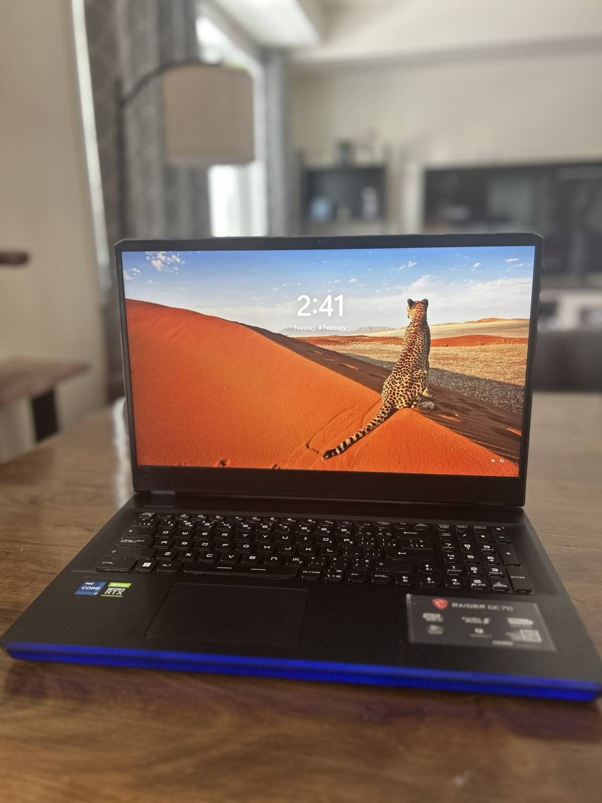 MSI Raider ge76 Gaming laptop