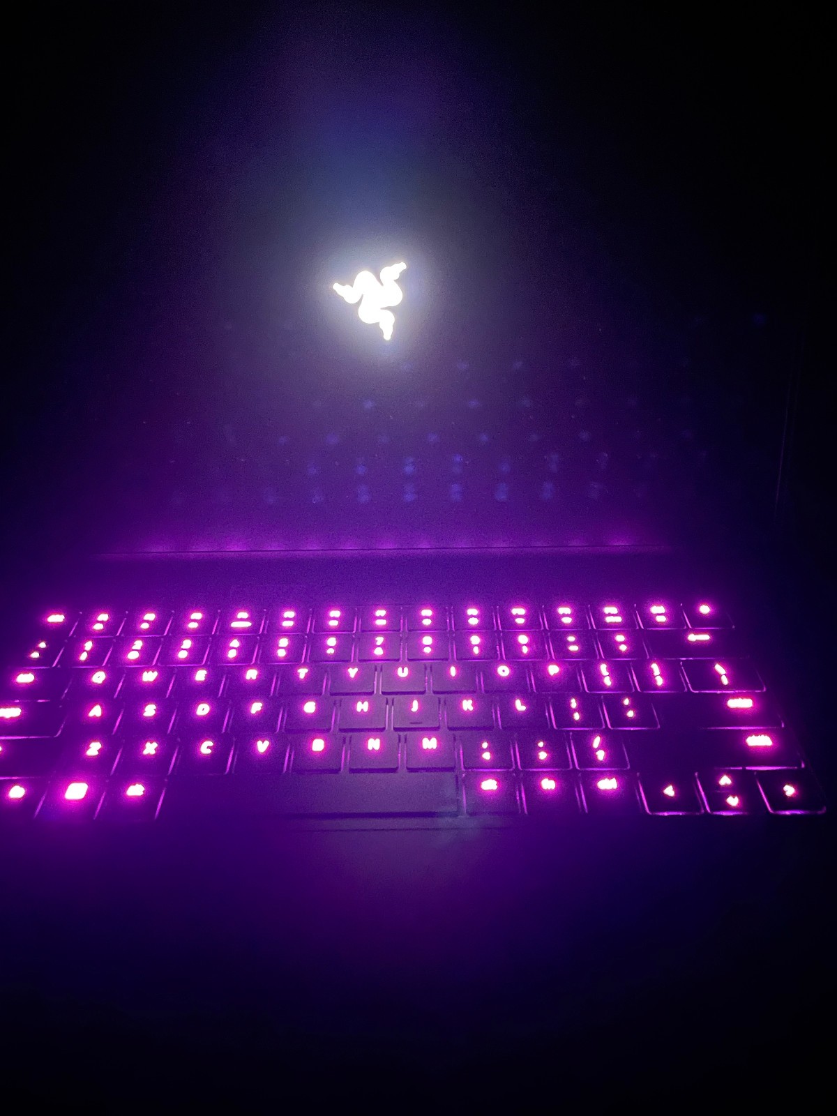 Razer Blade 16 32GB RAM, Nvidia RTX 4090 w/ 16 GB VRAM, 2 Terabytes SSD