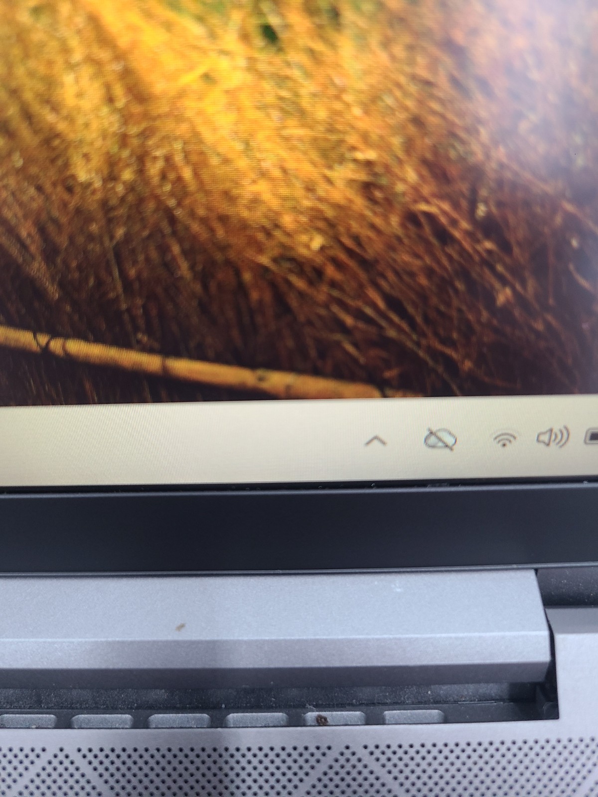 HP zBook Firefly 15 G8 i7-1165G7 2.80GHz 16GB RAM 512GB SSD Win 11 Pro w/Charger