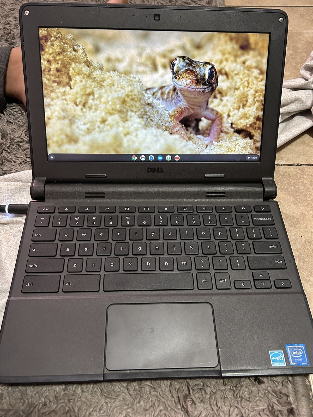 Dell Chromebook 3100 11.6” (32GB eMMC Intel Celeron N4020 1.1GHz 4GB RAM) Touch
