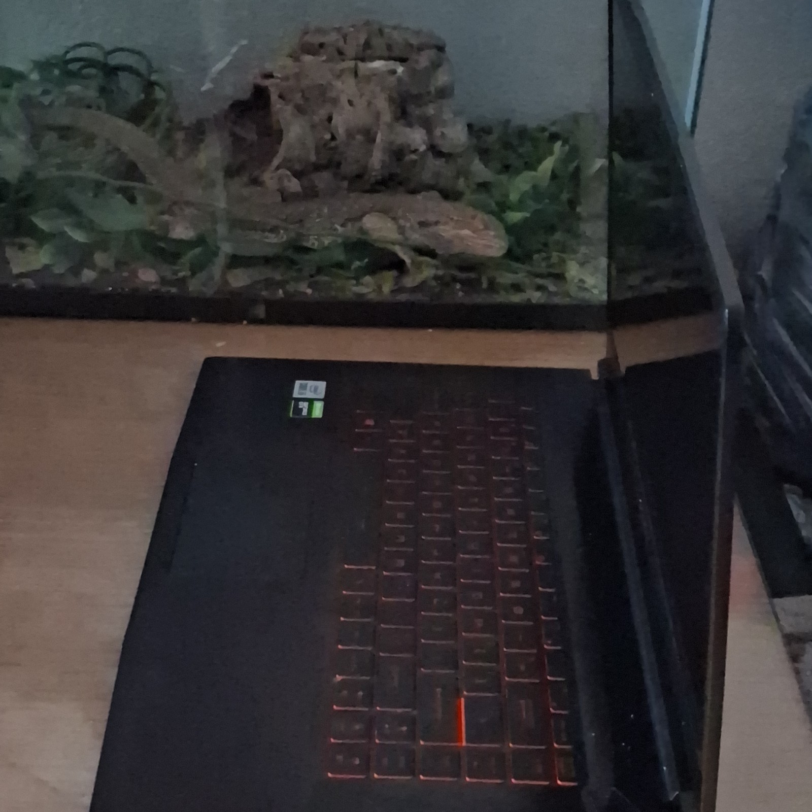 MSI Gaming Laptop Intel Core i5 NVIDIA GeForce GTX Black Backlit Keyboard