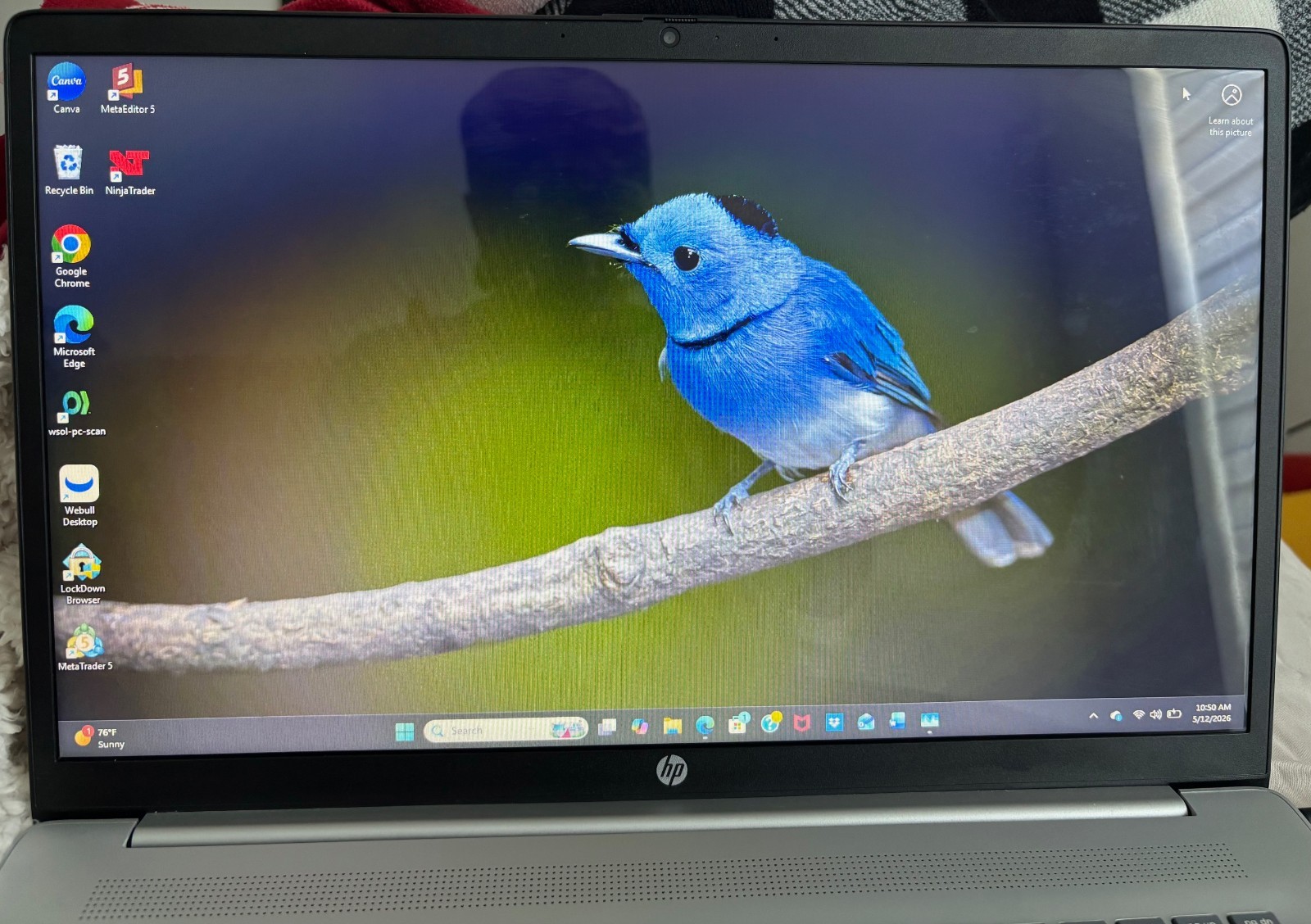 HP 17-cn0173st 17t Laptop PC 17.3″ 1080P i3 8GB 512GB SSD AX WiFi W11 w/Num Key