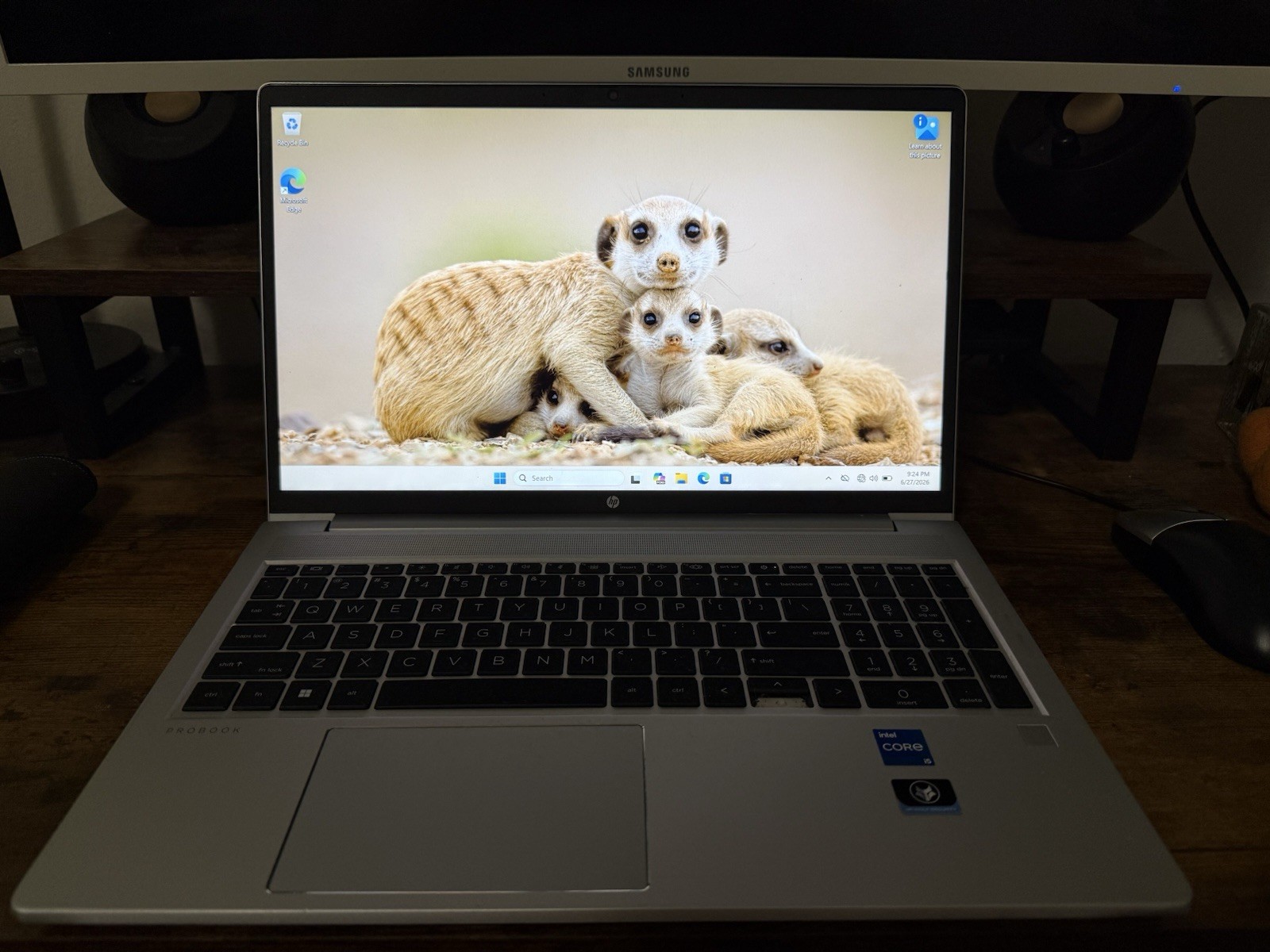 HP ProBook 450 G8 15.6″ Laptop | Intel i5 | 16GB RAM | 256GB SSD | Win 11 Pro