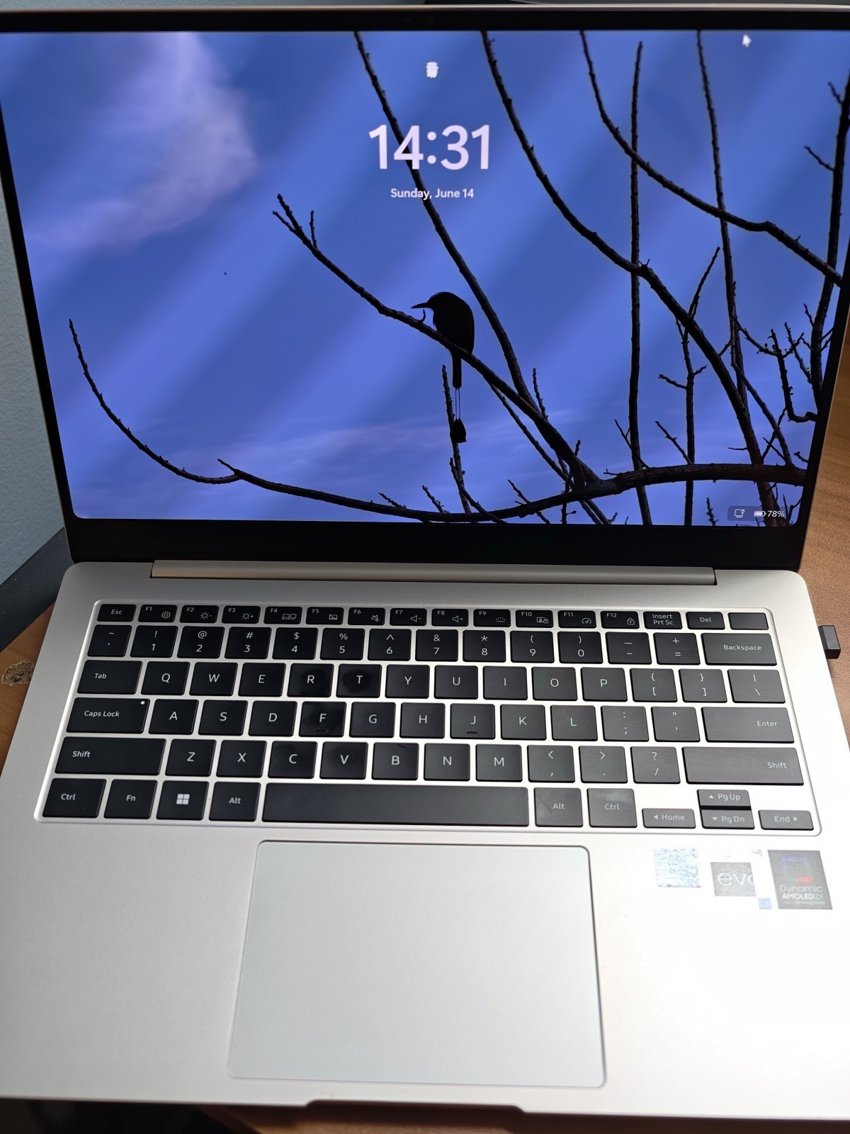14 inch Samsung Galaxy Book3 Pro, 512gb sand 16gb of ram. [read discription]