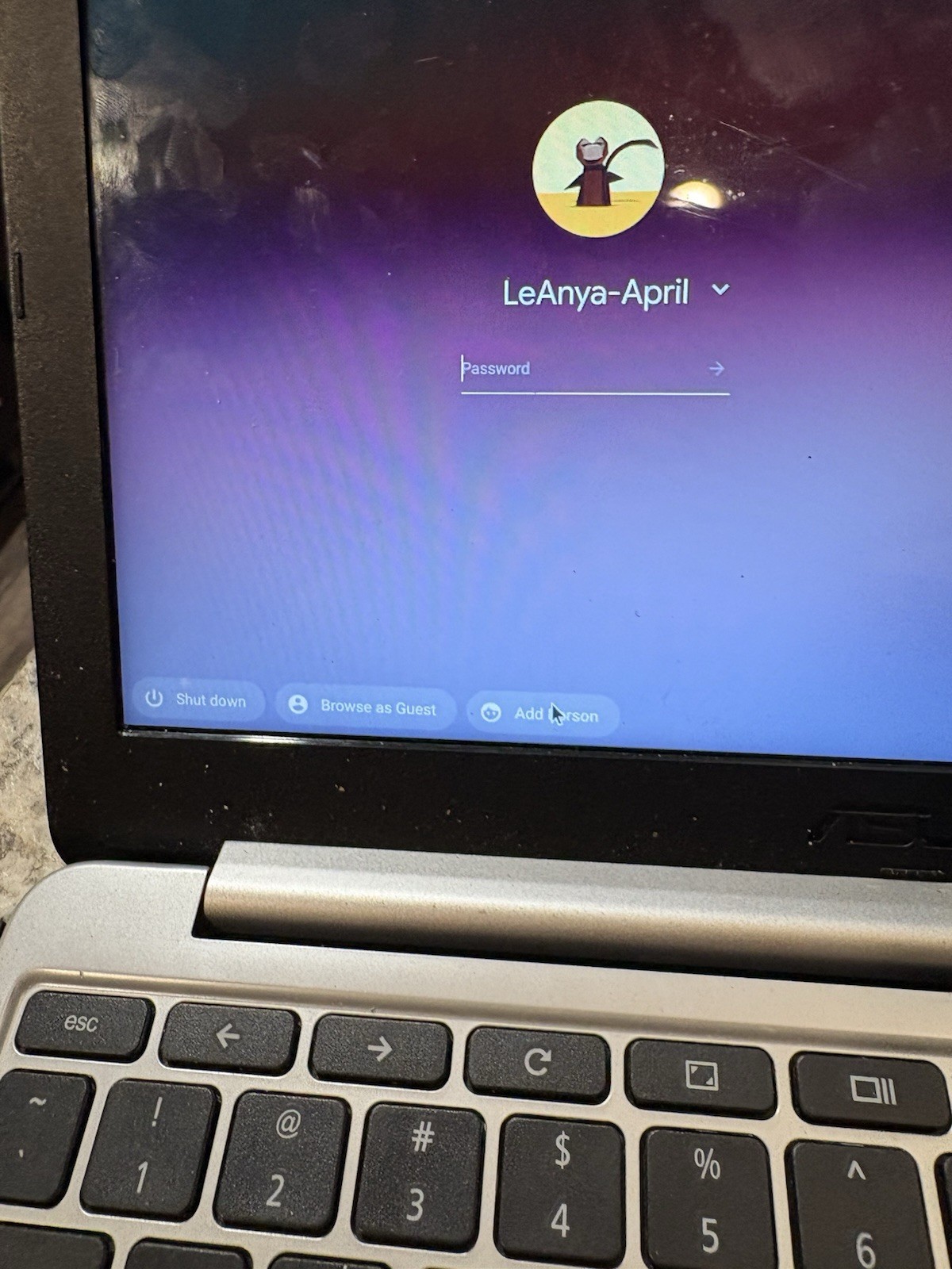 Asus Chromebook C201P Laptop Notebook 11.6″ 16 GB Blue UNTESTED