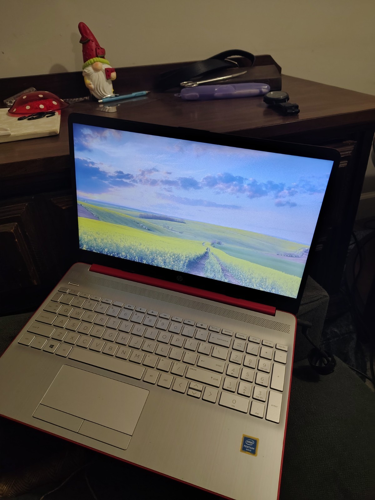 HP Notebook Laptop Intel Pentium Integrated Graphics Red Silver