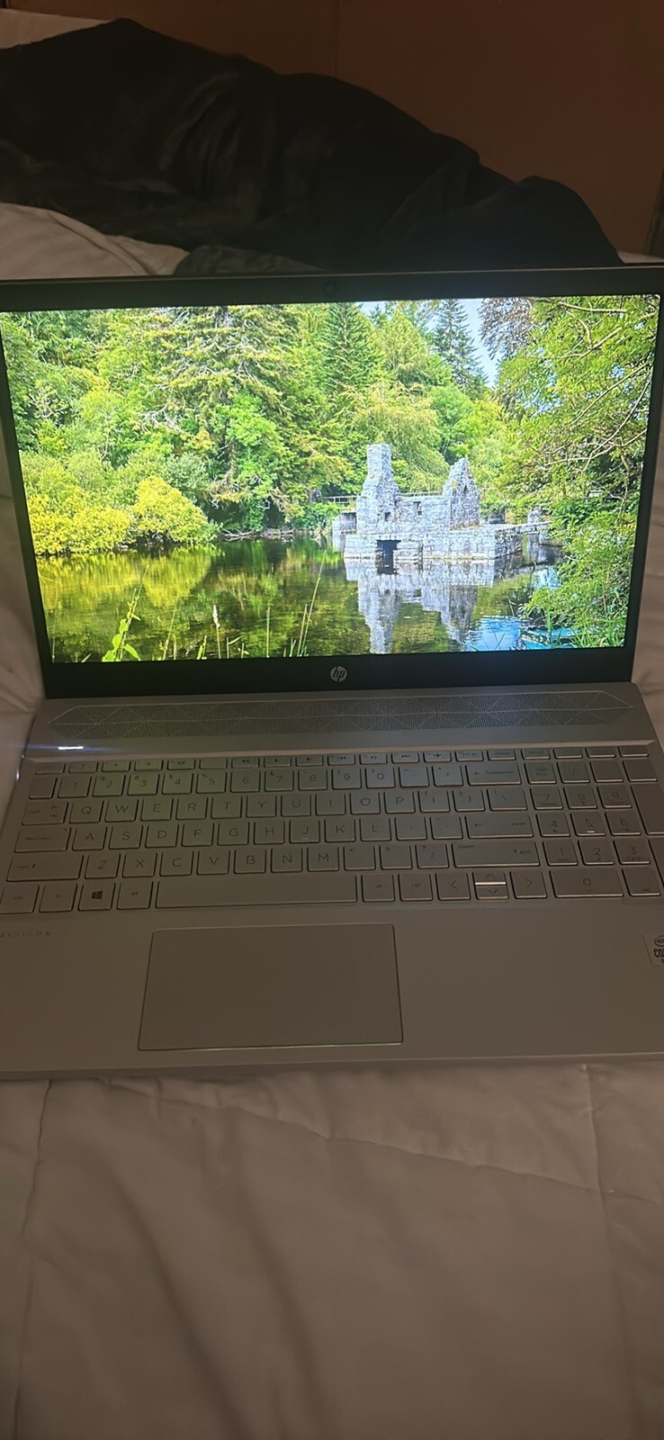 HP Pavilion 15-cs3019nr 15.6″ Intel Core i7-1065G7 16GB RAM 512GB Silver 3C586UA