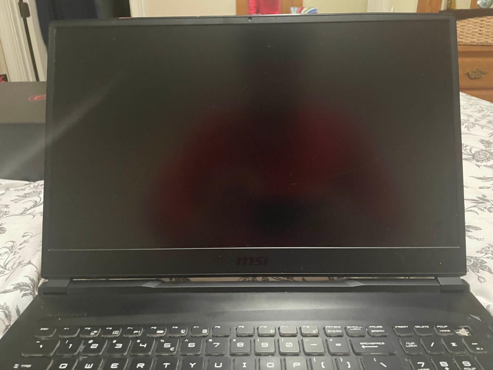 MSI GE75 Raider 10SE-482 17.3 inch (1TB, Intel Core i7 10th Gen., 2.7GHz, 16GB)
