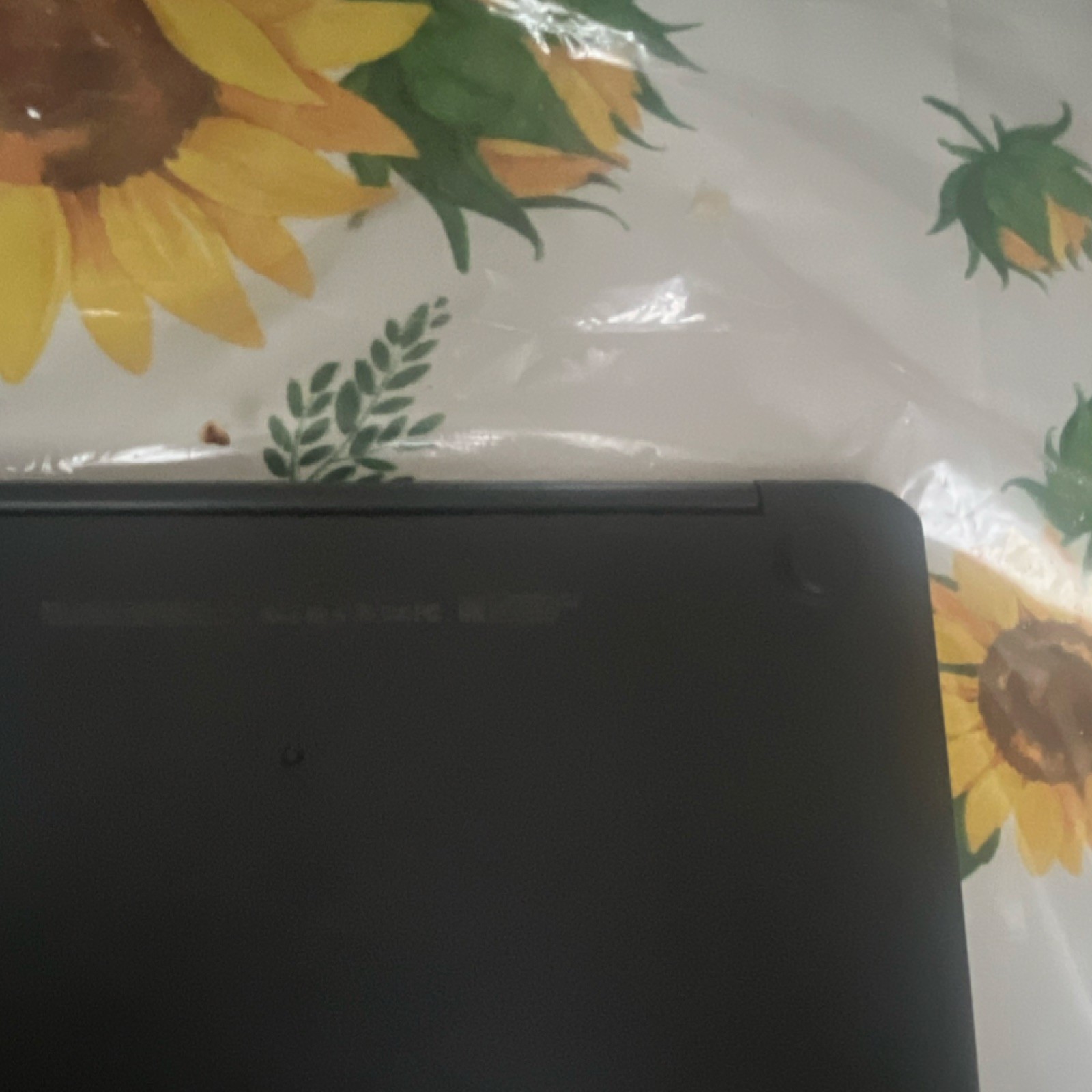 HP Chromebook 14″ Laptop Black Chrome OS Built-in Webcam Wi-Fi Casual Computing