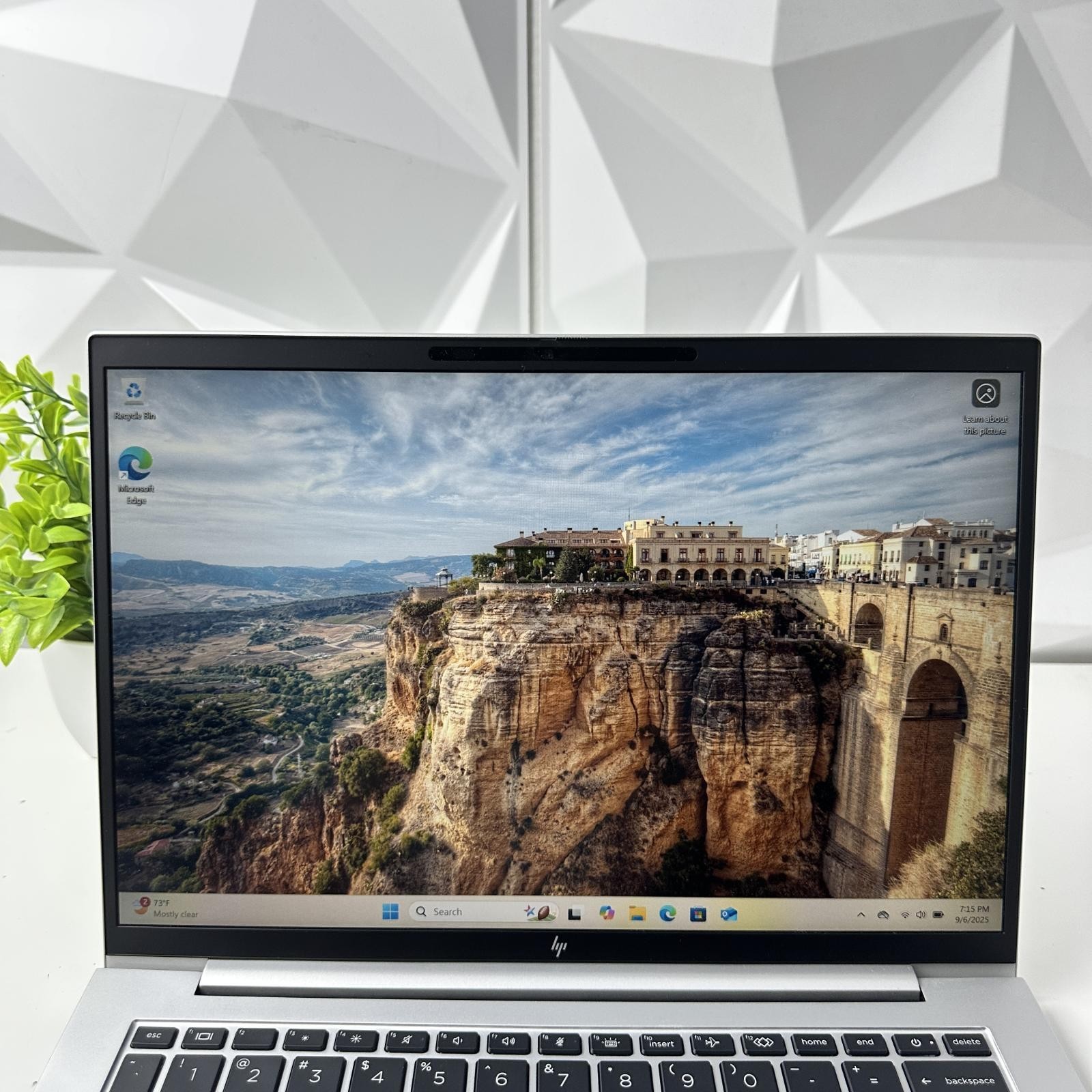 HP EliteBook 845 G11 Laptop, 14″ FHD, Ryzen 5 PRO 8540U, 16GB, 256GB SSD