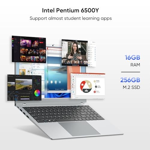 Laptop Computer, 15.6 inch 1920×1080 FHD IPS Display, 16GB RAM / 256GB SSD