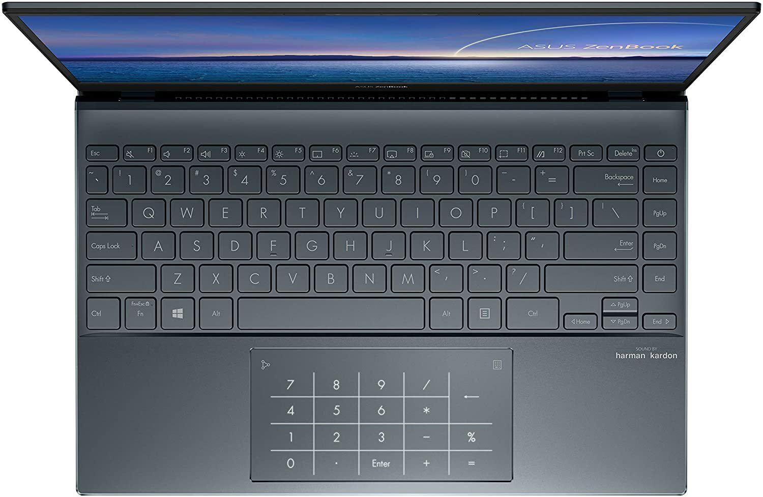NEW ASUS ZenBook Laptop Notebook UX325EA-DS51 OLED FHD with NumberPad 8GB LPDDR4