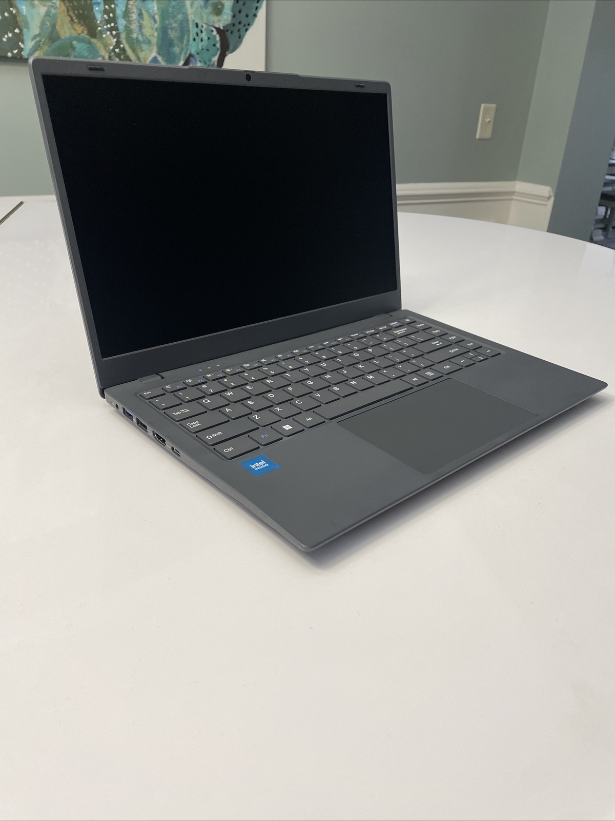 Tulasi Laptop 12GB LPDDR4X RAM 256GB 14” 1080P WIN11 SSD Laptop (READ!)FFF62