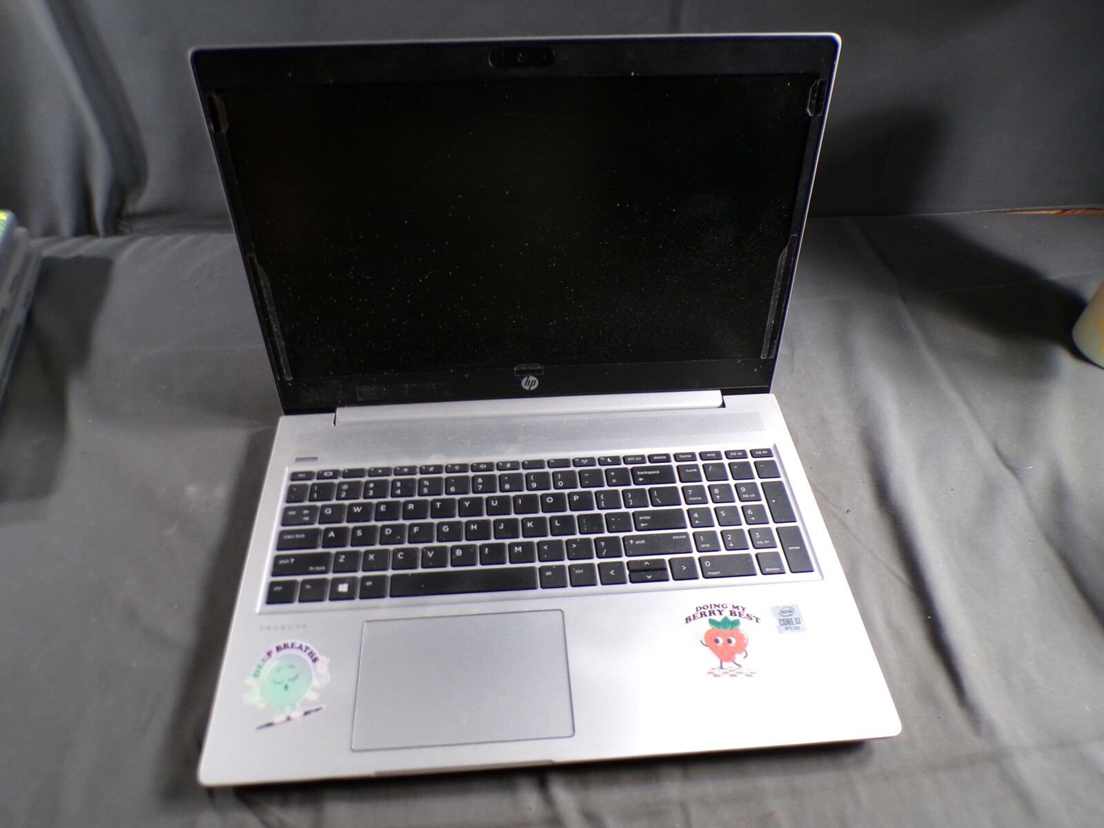 HP PROBOOK 450 G7 INTEL CORE i3 10TH GEN 8GB RAM